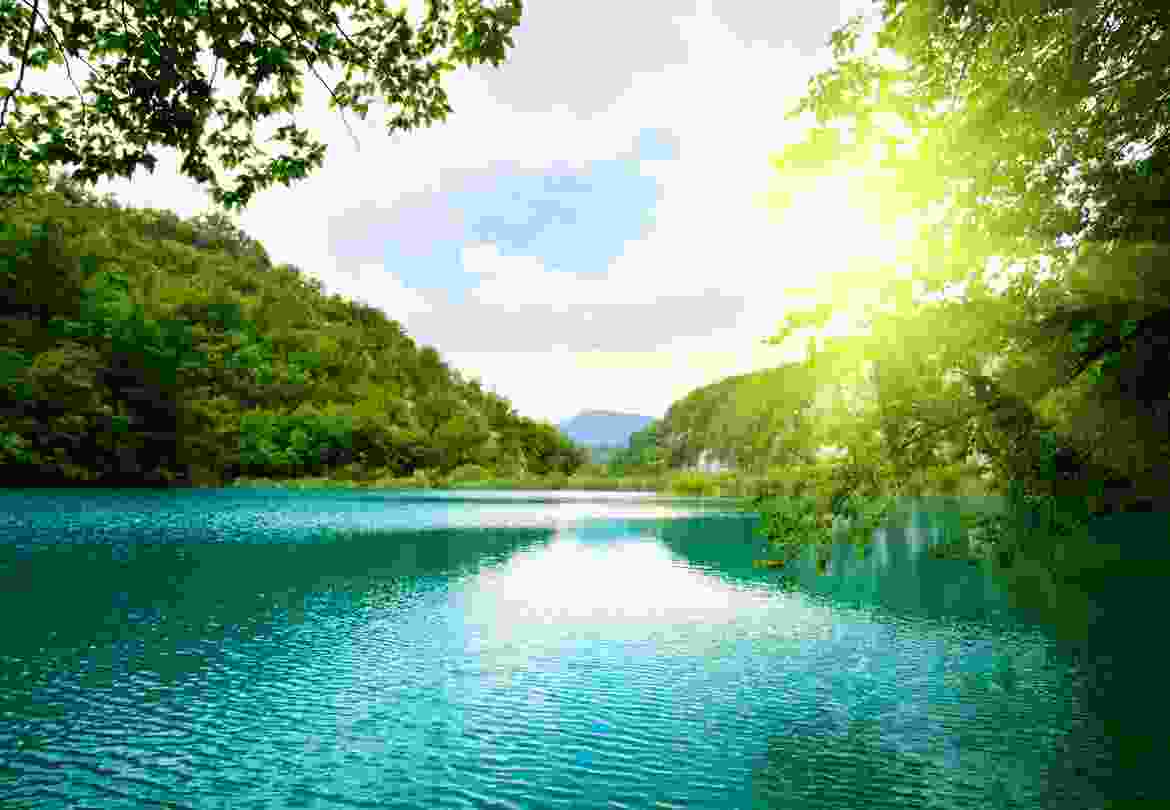 Nullam dignisim vivera Nullam dignisim vivera